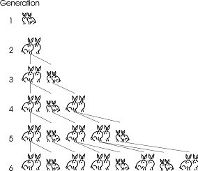 Reproduction des lapins selon Fibonacci